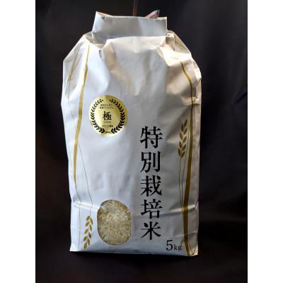 ふるさと納税 花巻市 [令和7年産]銀河のしずく 厳選プレミアム 極(kiwami)白米 5kg タカハシ農園