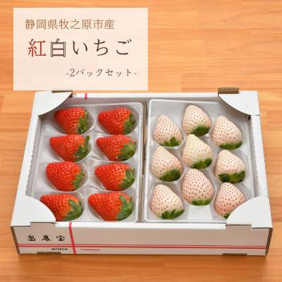 ふるさと納税 牧之原市 紅白いちご・おうちで楽しむ2色食べ比べセット 静岡県牧之原市産200g×2パック (計400g以上)