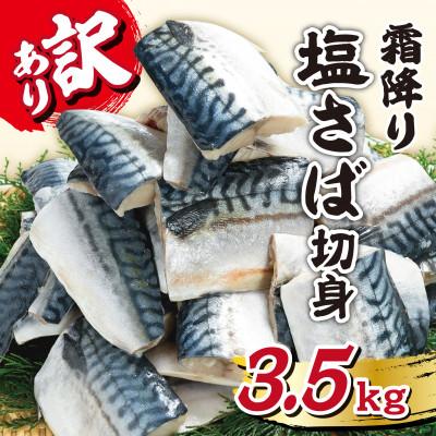ふるさと納税 銚子市 [訳あり]霜降り塩さば切身 約3.5kg