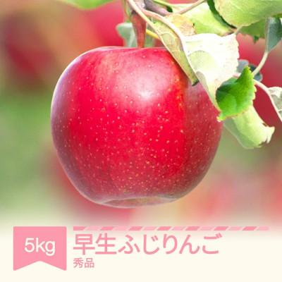 ふるさと納税 村山市 [先行予約] 早生ふじりんご 秀品 約5kg 令和8年産