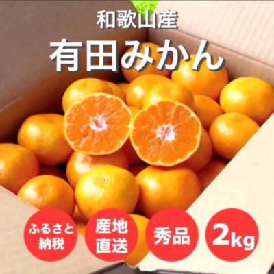 ふるさと納税 印南町 先行受付2026年11月より順次発送[まごころ手選別]有田みかん2kg(2S〜Lサイズ混合)