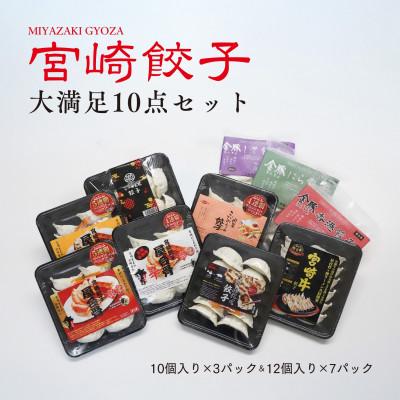 ふるさと納税 宮崎市 宮崎餃子 大満足10点セット
