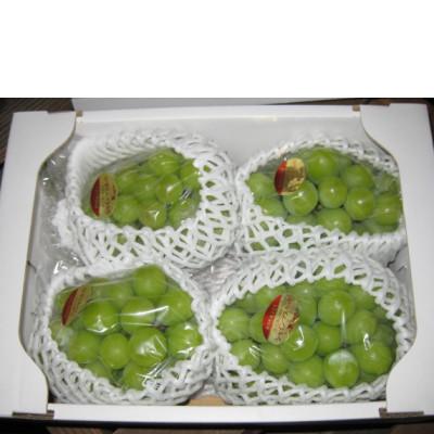 ふるさと納税 観音寺市 [8月31日(夏休み)までの期間限定企画!!]シャインマスカット 約1.9kg