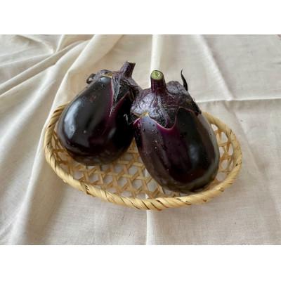 ふるさと納税 上富良野町 [北海道上富良野町][すずきが育てた新商品!]すずきの水なす[プリっとした歯応えと瑞々しい]1kg