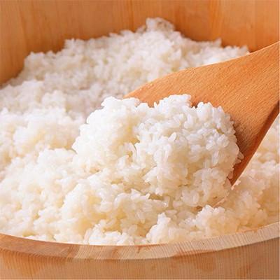 ふるさと納税 中能登町 [令和7年産]中能登町産「能登米コシヒカリ」5kgを精米済みでお届け