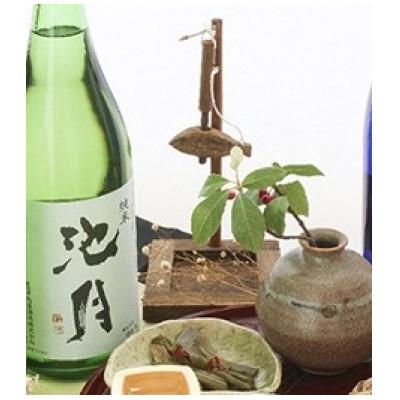 ふるさと納税 中能登町 [鳥屋酒造]能登の酒を味わう! 日本酒「池月 純米酒(720ml)」1本