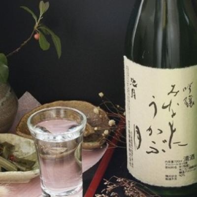 ふるさと納税 中能登町 [鳥屋酒造]能登の酒を味わう! 日本酒「吟醸 みなもにうかぶ月(720ml)」1本