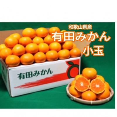 ふるさと納税 美浜町 先行受付2026年11月より順次発送[まごころ手選別]有田みかん5kg小玉(3S〜Sサイズ混合)