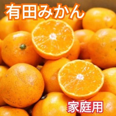 ふるさと納税 美浜町 先行受付2026年11月より順次発送[まごころ手選別]有田みかん1kg家庭用(2S〜2L混合)
