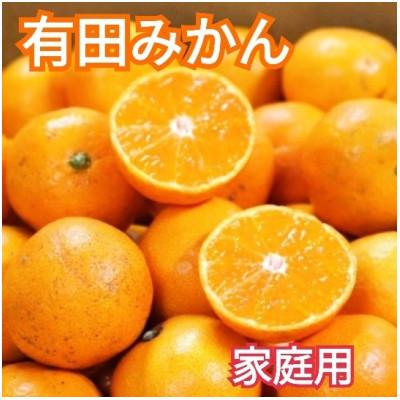 ふるさと納税 美浜町 先行受付2026年11月より順次発送[まごころ手選別]有田みかん2kg家庭用(2S〜2Lサイズ混合)