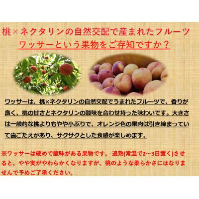ふるさと納税 長野県 【2026年発送】フルーツ果物王国　長野県信州直送　ワッサー　約3kg【秀品】【贈答品】_2