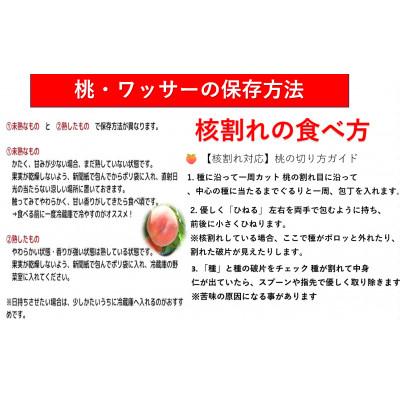 ふるさと納税 長野県 【2026年発送】フルーツ果物王国　長野県信州直送　ワッサー　約3kg【秀品】【贈答品】_3