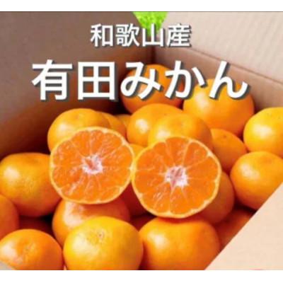 ふるさと納税 美浜町 先行受付2026年11月より順次発送[まごころ手選別]有田みかん2kg(2S〜Lサイズ混合)