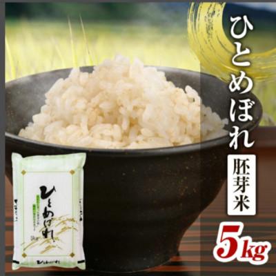 ふるさと納税 酒田市 ひとめぼれ 胚芽米 5kg