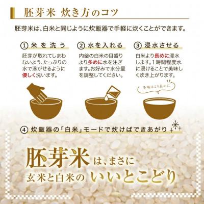 ふるさと納税 酒田市 ひとめぼれ 胚芽米 5kg |  | 02