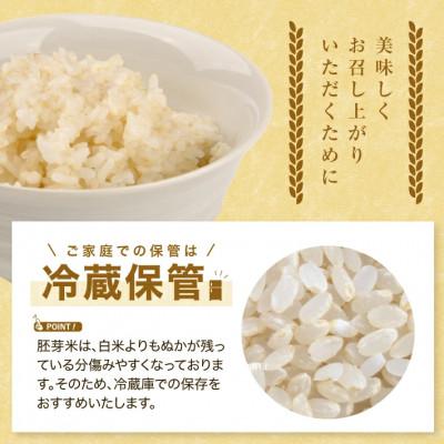 ふるさと納税 酒田市 ひとめぼれ 胚芽米 5kg |  | 03