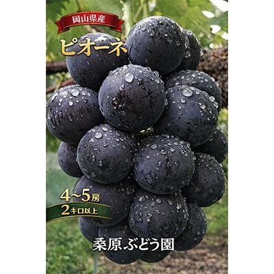 ふるさと納税 津山市 先行予約　岡山産　完熟ピオーネ　4〜5房　2キロ以上 | 