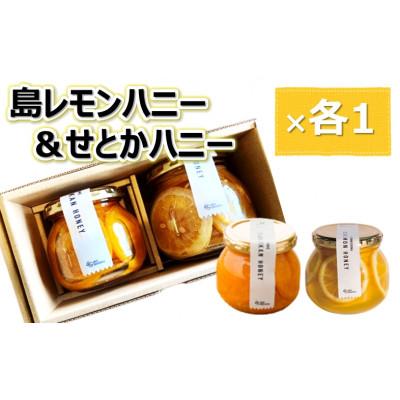 ふるさと納税 今治市 島レモンハニー&amp;せとかハニーセット(株式会社M.S.NAVY)[VB00930]