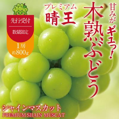 ふるさと納税 倉敷市 先行予約 木熟ぶどう プレミアム シャインマスカット晴王 赤秀品 1房 約800g 9月〜10月発送