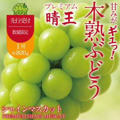 ふるさと納税 岡山市 先行予約 木熟ぶどう プレミアム シャインマスカット晴王 赤秀品 1房 約800g 9月〜10月発送