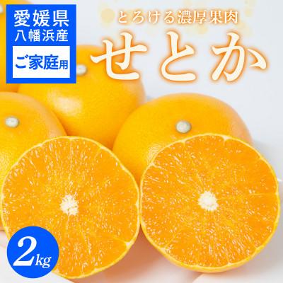 ふるさと納税 八幡浜市 [先行受付][ご家庭用]とろける果肉 せとか 2kg 愛媛八幡浜産[C25-306]