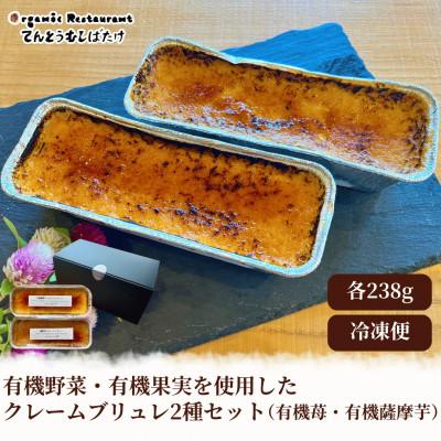ふるさと納税 京丹後市 農場直営レストランがつくる有機野菜と有機果実のクレームブリュレ2種セット ギフト箱入り贈り物にも