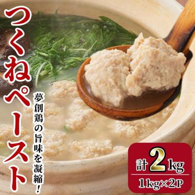ふるさと納税 門川町 つくねペースト(計2kg)