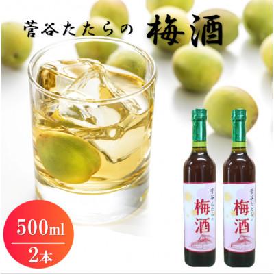 ふるさと納税 雲南市 菅谷たたらの梅酒 500ml×2本