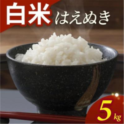 ふるさと納税 酒田市 はえぬき 5kg 精米