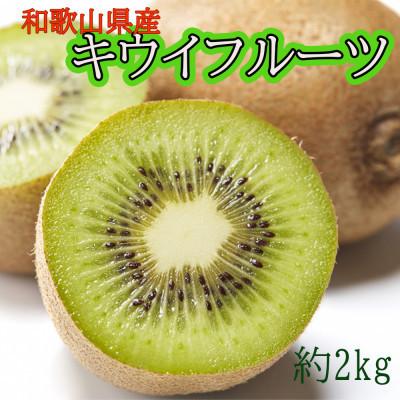 ふるさと納税 広川町 和歌山県産キウイフルーツ約2kg(サイズ混合)[広川町]