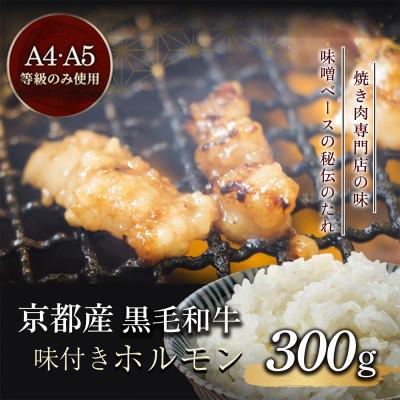 ふるさと納税 亀岡市 [A4,A5]京都産黒毛和牛 味付け ホルモン 300g 冷凍 小分け[焼肉専門店 平壌亭]