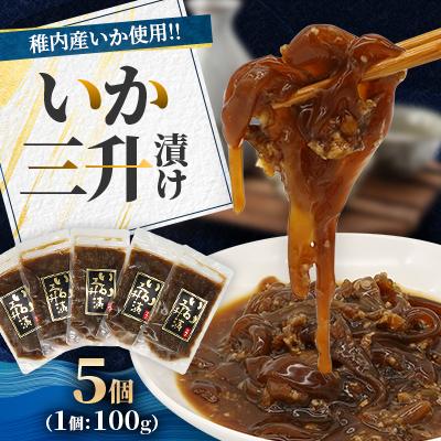 ふるさと納税 稚内市 稚内産 いか三升漬け 100g×5個