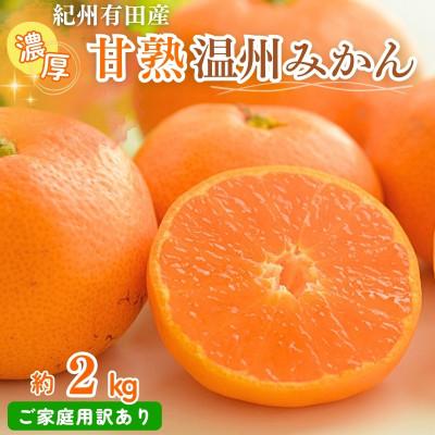 ふるさと納税 北山村 [家庭用 訳あり]紀州有田産 濃厚完熟 温州みかん 2kg[uot836]