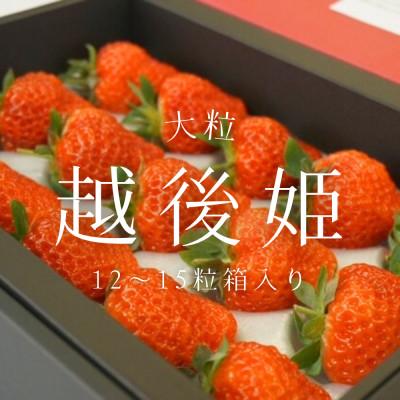 ふるさと納税 村上市 [数量限定]大粒いちご「越後姫」贈答用 12〜15粒 約450g 新潟ブランド品 1081005