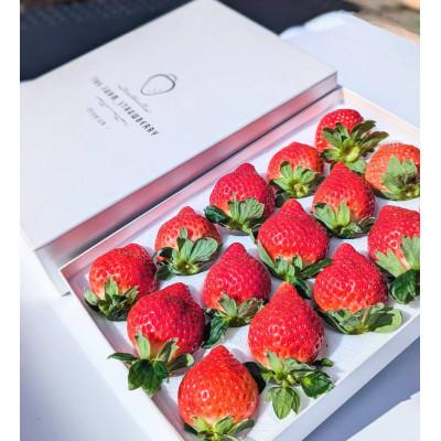 ふるさと納税 宇美町 プレミアム あまおう EX(化粧箱入り)約400g×1パック(宇美町)