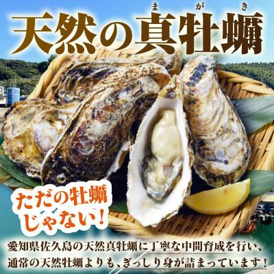 ふるさと納税 西尾市 佐久島産天然真牡蠣　参州オイスター　1kg・E029 |  | 01