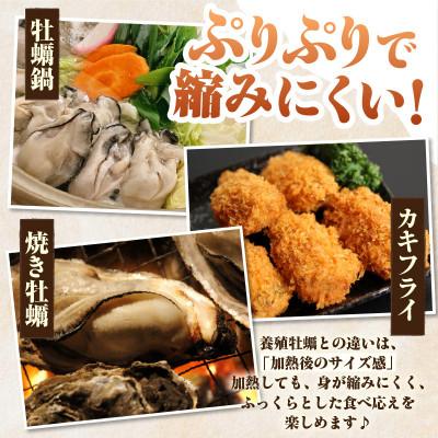 ふるさと納税 西尾市 佐久島産天然真牡蠣　参州オイスター　1kg・E029 |  | 02