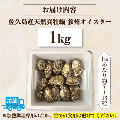 ふるさと納税 西尾市 佐久島産天然真牡蠣　参州オイスター　1kg・E029 |  | 03