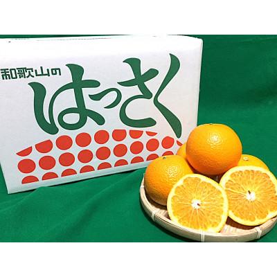 ふるさと納税 広川町 [まごころ手選別]和歌山県産 はっさく 約10kg L〜2Lサイズ