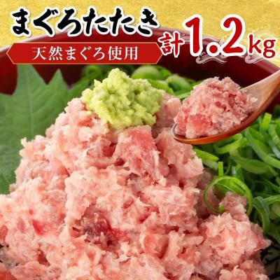 ふるさと納税 篠栗町 まぐろたたき 計1.2kg(100g×12P) | 