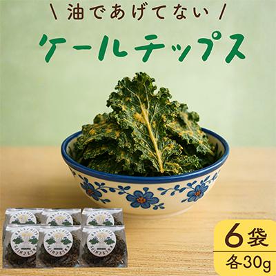 ふるさと納税 小浜市 ケールチップス