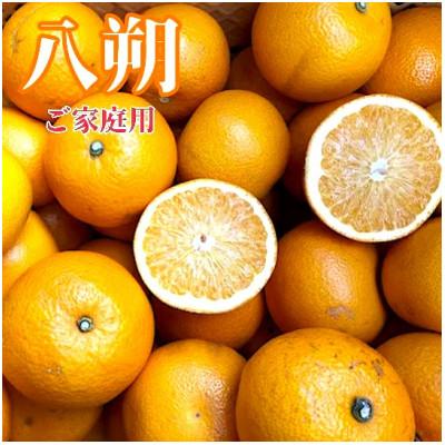 ふるさと納税 広川町 [まごころ手選別]和歌山産 八朔 約4kg (サイズ混合) 家庭用[2027年発送]