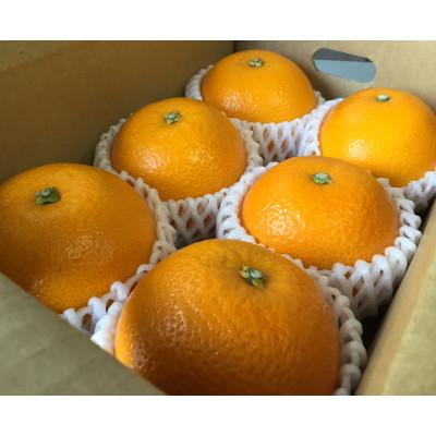 ふるさと納税 広川町 [まごころ手選別]和歌山産 八朔 6玉 L〜2Lサイズ[2027年1月中旬より順次発送]