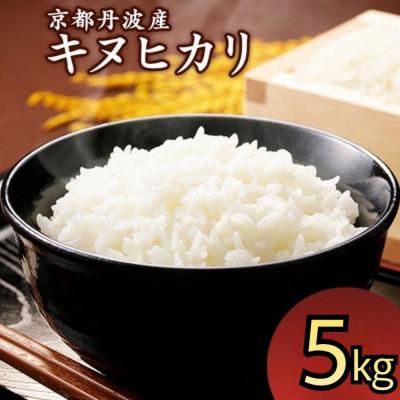 ふるさと納税 亀岡市 令和7年産 京都丹波産 キヌヒカリ 5kg 精米[JA京都たわわ朝霧]