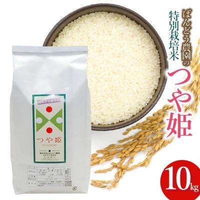 ふるさと納税 鶴岡市 [令和7年産]山形県鶴岡産特別栽培米 つや姫 白米 精米 10kg[K-777]