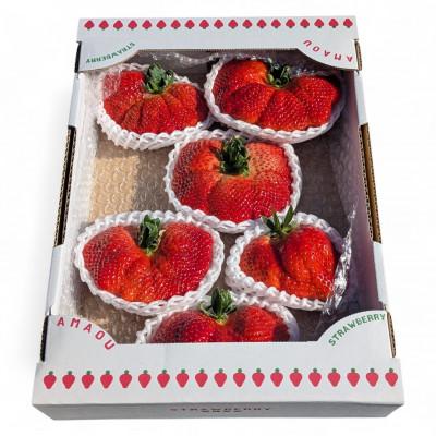 ふるさと納税 太宰府市 選ばれし一粒・特撰プレミアムあまおう 約600g(太宰府市)