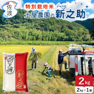ふるさと納税 佐渡市 佐渡島産新之助 白米2kg 土屋農園 栽培期間中農薬・化学肥料5割減 令和7年産[食の宝島佐渡]精米