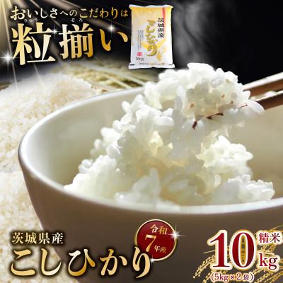 ふるさと納税 下妻市 【令和7年産】精米 コシヒカリ 10kg 茨城県下妻市