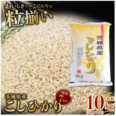 ふるさと納税 下妻市 玄米 コシヒカリ 10kg 茨城県下妻市産