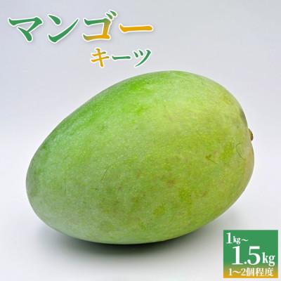 ふるさと納税 富津市 Alon Alon マンゴー(キーツ)栽培期間中農薬不使用 1kg〜1.5kg BA-6